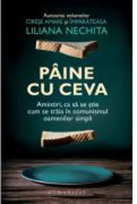 Paine cu ceva. Amintiri, ca sa se stie cum se traia in comunismul oamenilor simpli - Liliana Nechita