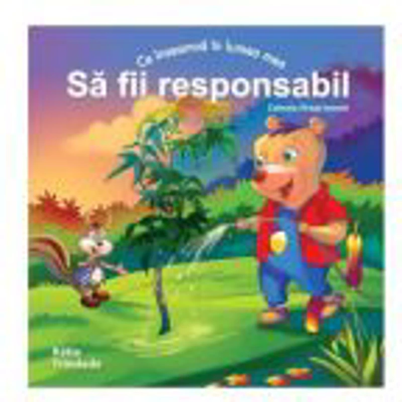 Ce inseamna in lumea mea SA FII RESPONSABIL