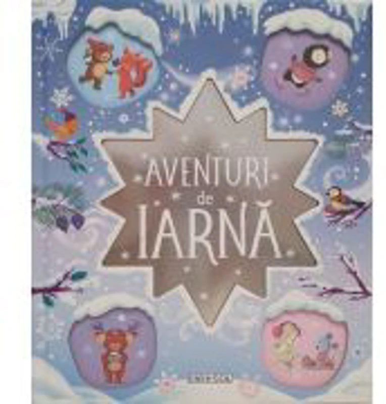 Aventuri de iarna