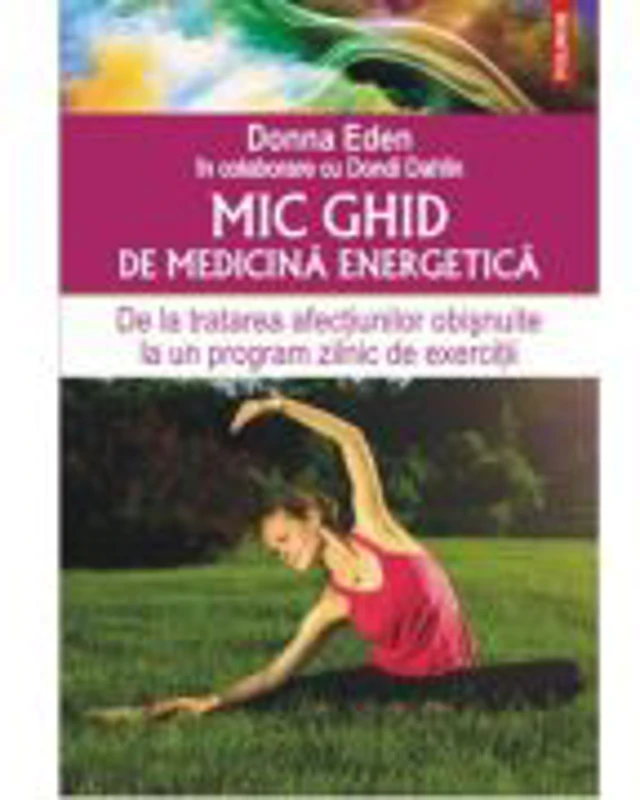 Mic ghid de medicina energetica - Donna Eden, Dondi Dahlin