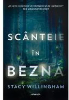 Scanteie in bezna - Stacy Willingham
