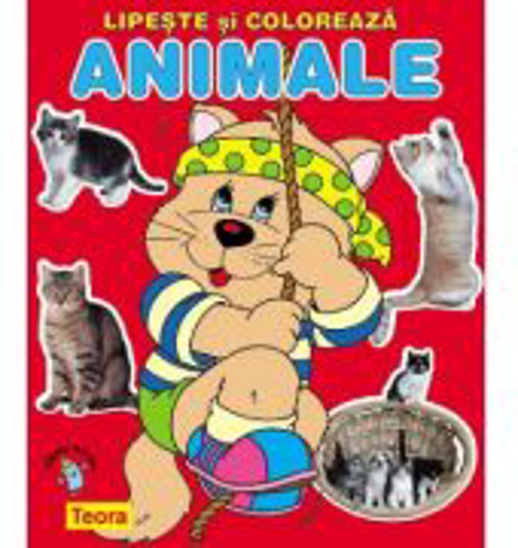 Lipeste si coloreaza animalele. Pisica