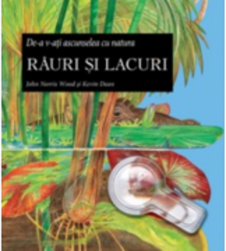 Rauri si Lacuri