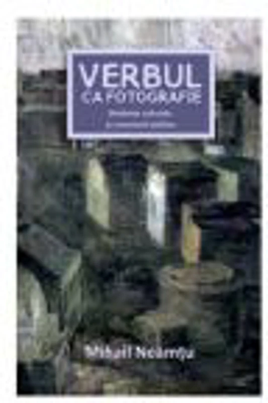 Verbul ca fotografie - Disidente culturale si comentarii politice - Mihail Neamtu