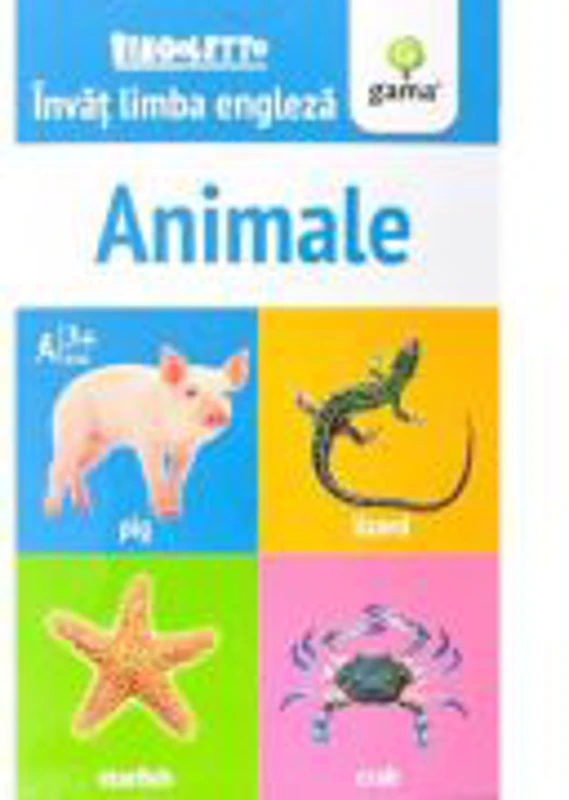 Animale. Invat limba engleza. Colectia Bingoletto