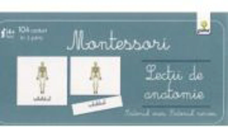 Lectii Montessori. Lectii de anatomie. Sistemul osos. Sistemul nervos