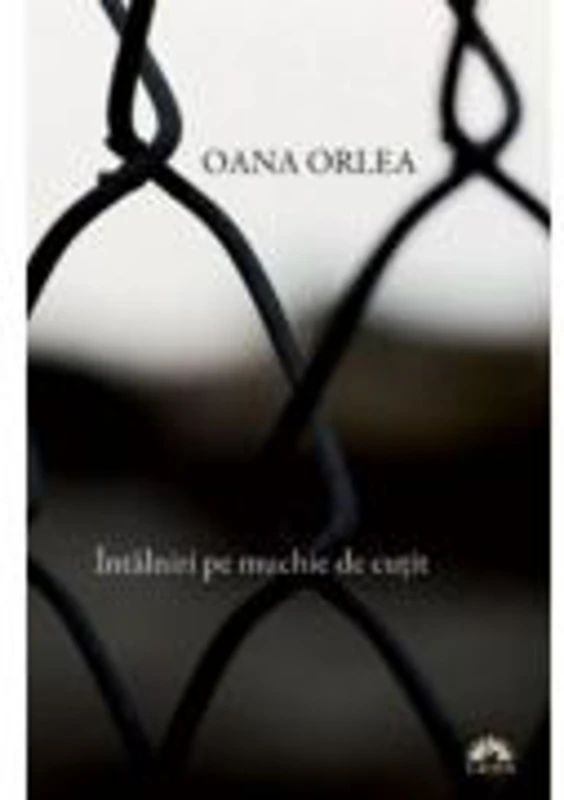 Intalniri pe muchie de cutit - Oana Orlea