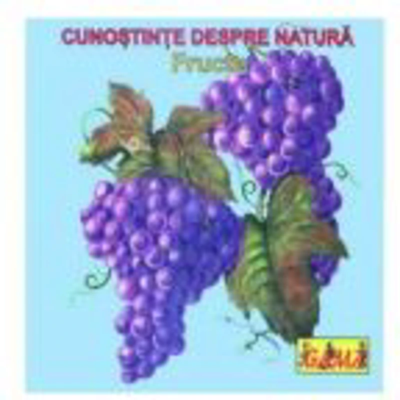 Carti pliante mici - Fructe