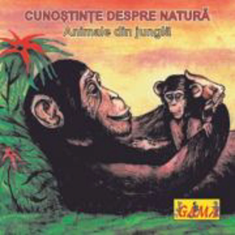 Carti pliante mici - Animale din jungla