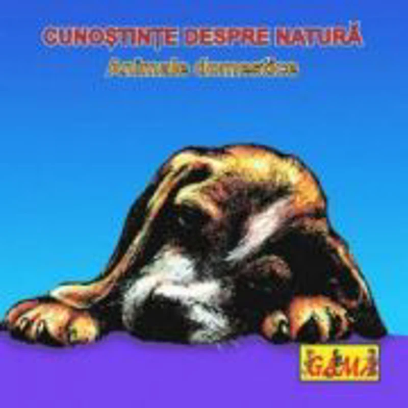 Carti pliante mici - Animale domestice 1