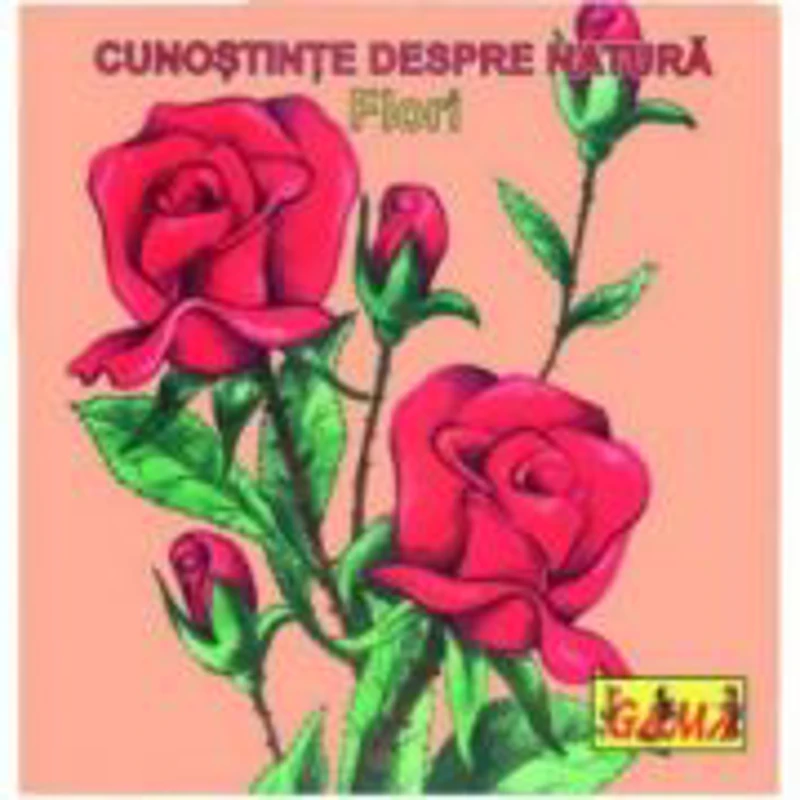 Carti pliante mici - Flori