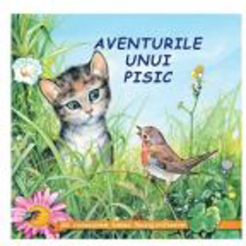 Aventurile unui pisic - Sa cunoastem lumea inconjuratoare!