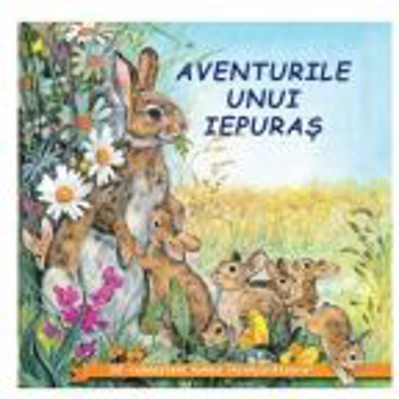 Aventurile unui iepuras - Sa cunoastem lumea inconjuratoare!