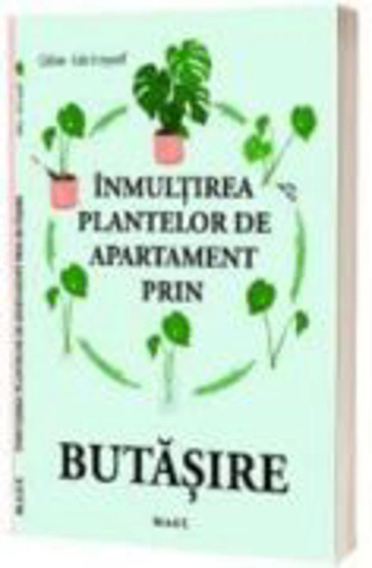 Inmultirea plantelor de apartament prin butasire - Celine-I do it myself