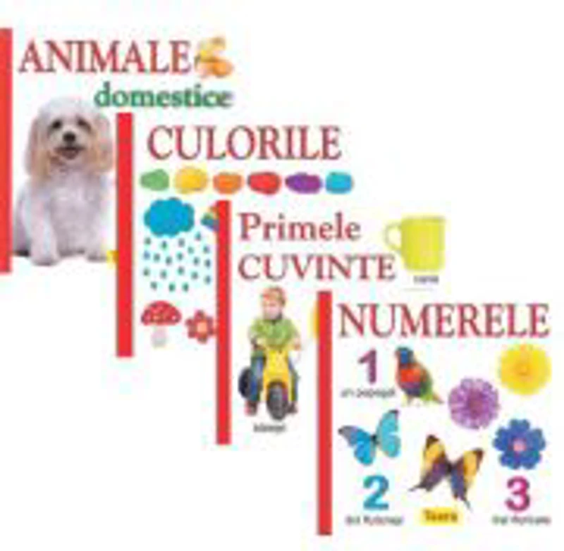 Pachet 4 carti pentru copii, culorile, animele domestice, numerele, primele cuvinte - Diana Rotaru