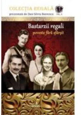 Bastarzii regali - poveste fara sfarsit - Dan-Silviu Boerescu