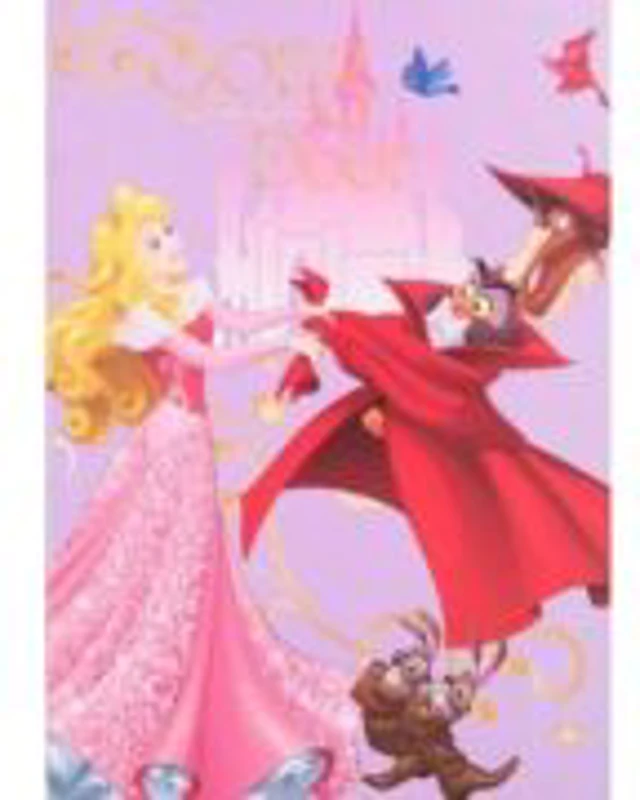 Vocabular Princess 24 File, coperta cu licenta, Noriel