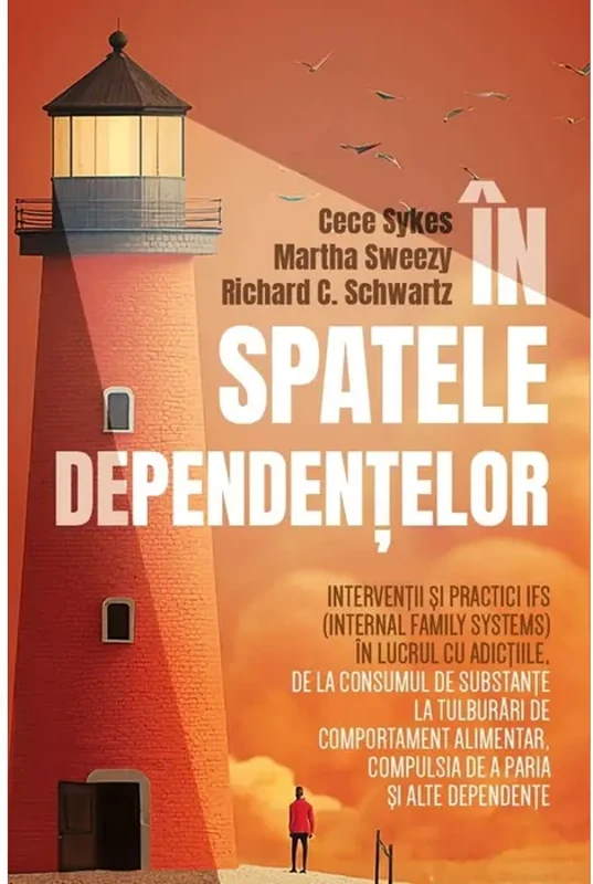 În spatele dependențelor - Paperback brosat - Cece Sykes, Martha Sweezy, Richard C. Schwartz - Herald