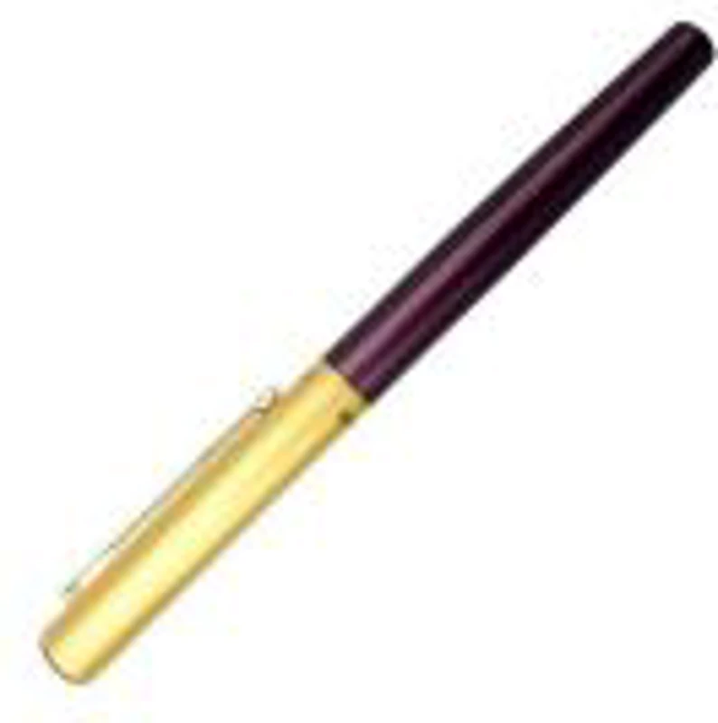 Stilou CNX Lux Dikawen 8039, alimentare pompita, corp metalic bordo, capac auriu