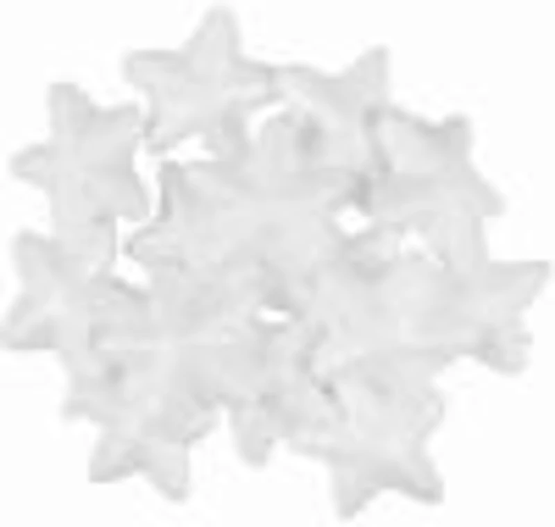 Accesorii creatie - polistiren - stea, alb, 3cm, set 16 buc, Colorarte