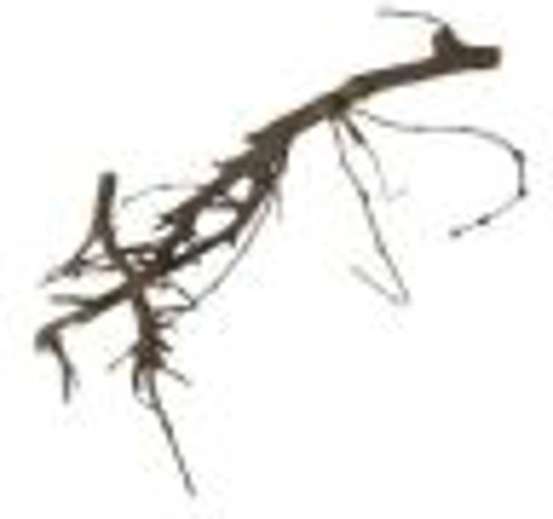 Foliage Bonsai, punga 1 buc, Colorarte