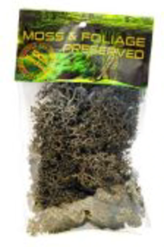 Licheni stabilizati, negru, punga 20g, Colorarte, Q1