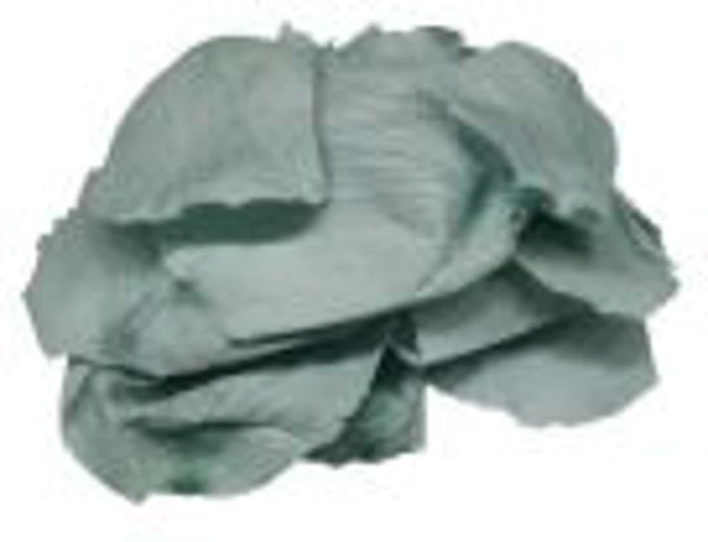 Foliage trandafir, blue ciel, petale, punga 6g, Colorarte