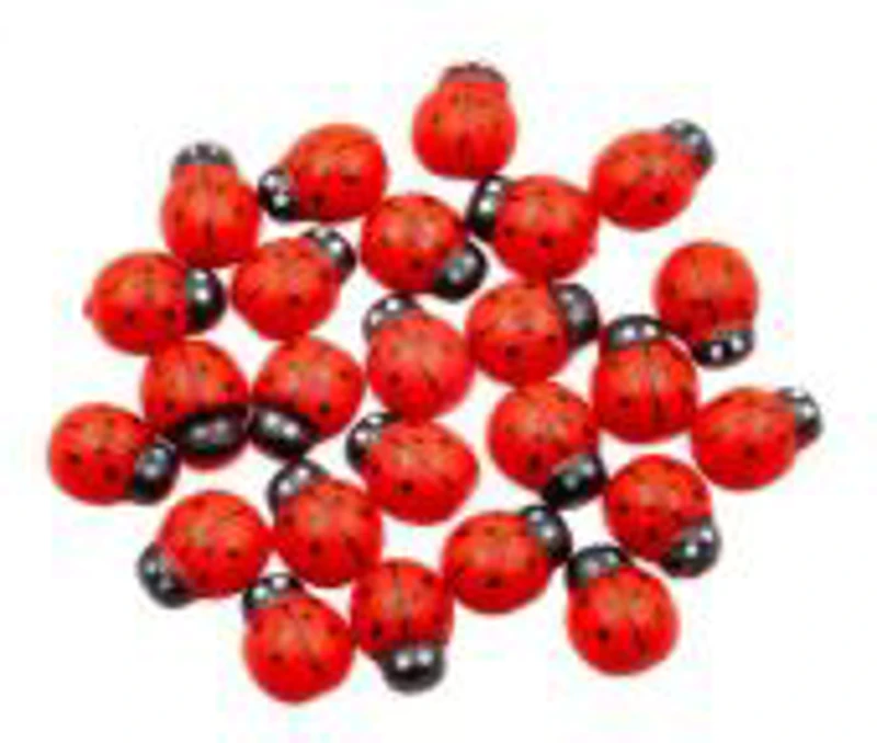 Accesorii creatie - lemn - buburuza, colorat, 15mm, set 25 buc, Colorarte