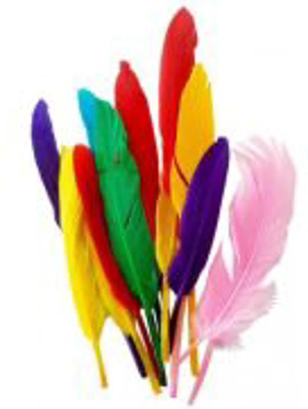 Accesorii creatie - pene, 12-15cm, set 10 buc, Colorarte