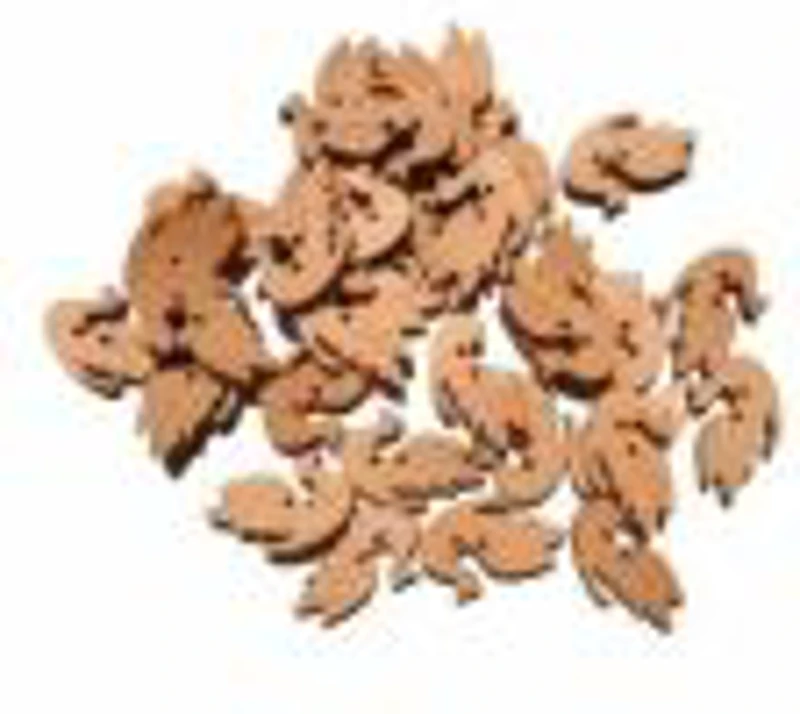 Accesorii creatie - lemn - paun, set 20-22g, Colorarte