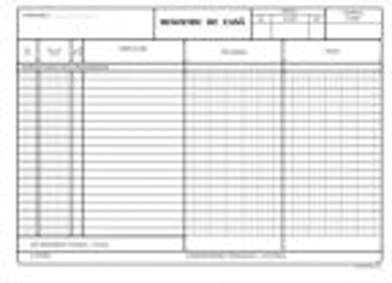 Tipizat - registru de casa lei - A4, landscape, simplu, 100 file
