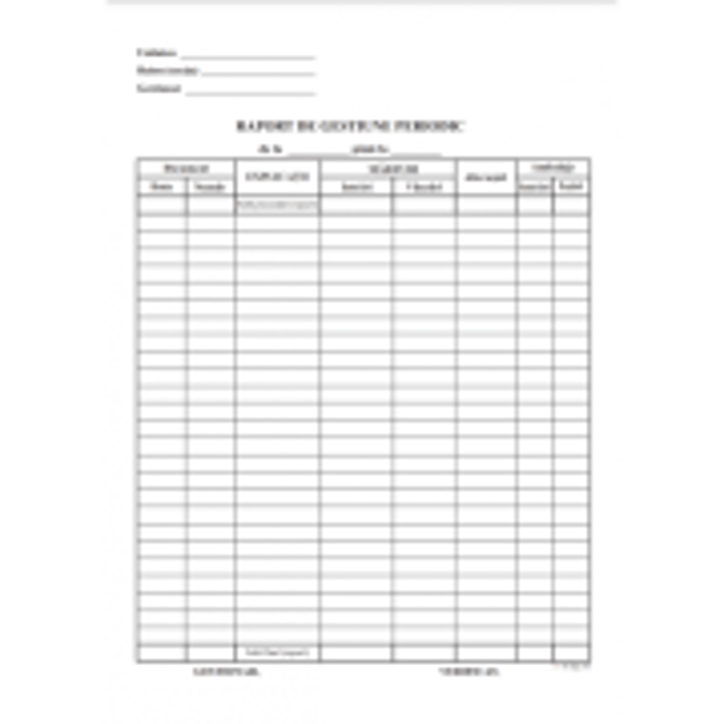 Tipizat - raport gestiune periodic - A4, portret, simplu, carnet 100 file
