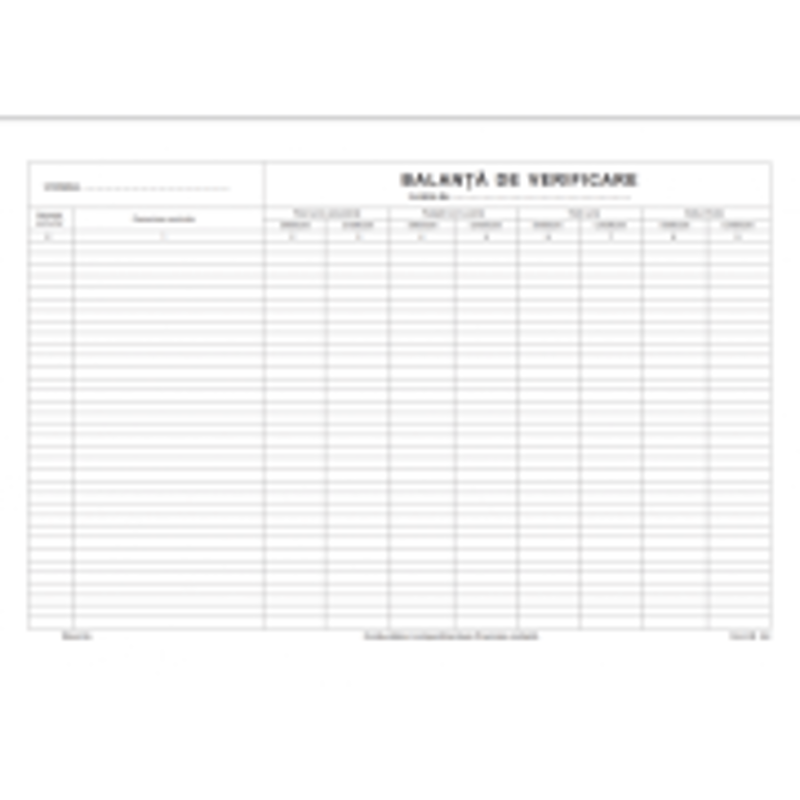 Tipizat - balanta verificare - A3, landscape, simplu