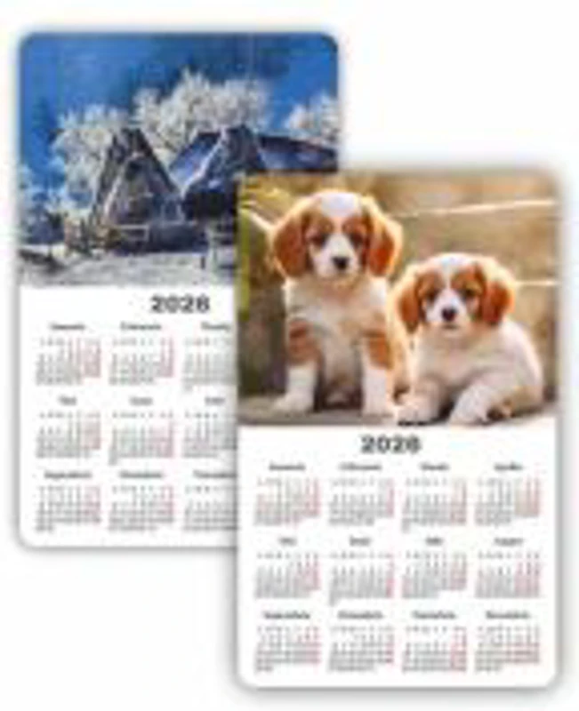 Calendar magnetic ARHI Diverse Imagini policromie, 9x14. 5cm, coala 115g/mp