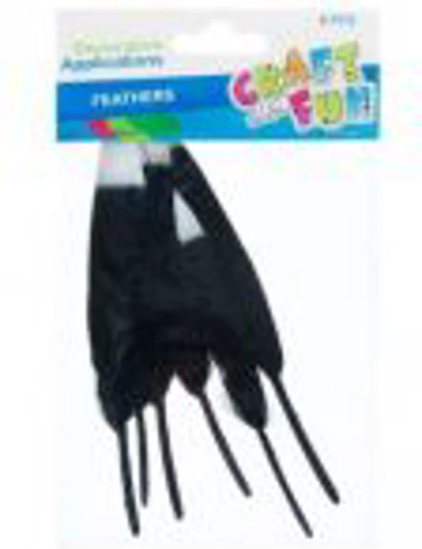 Accesorii creatie - pene, negru, argintiu, 12-15cm, set 6 buc, Craft with Fun, 463663