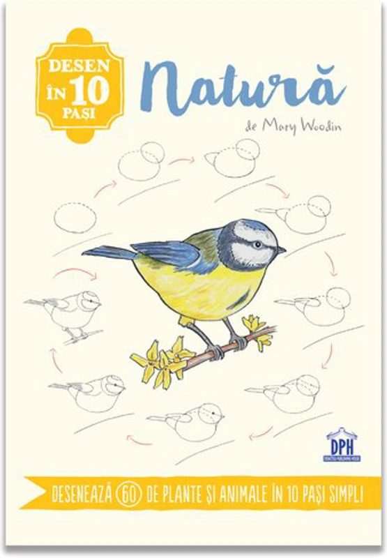 Desen in 10 pasi. Natura