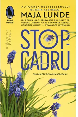 Stop-cadru