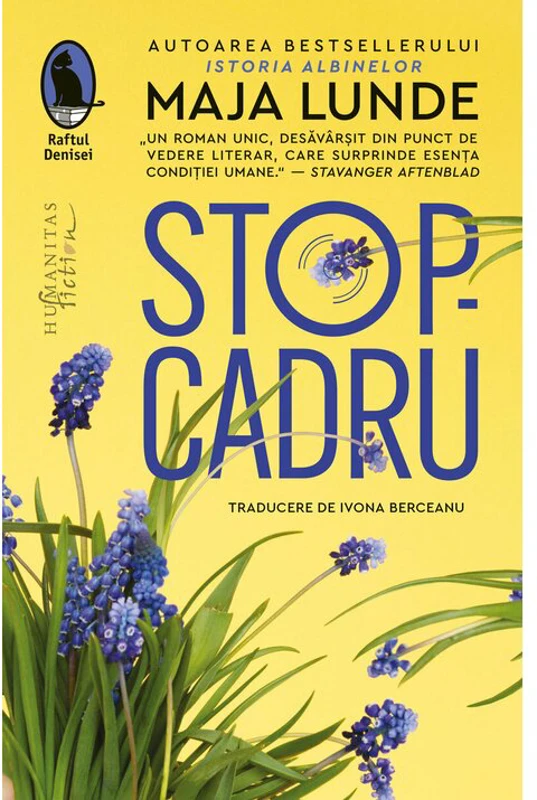 Stop-cadru