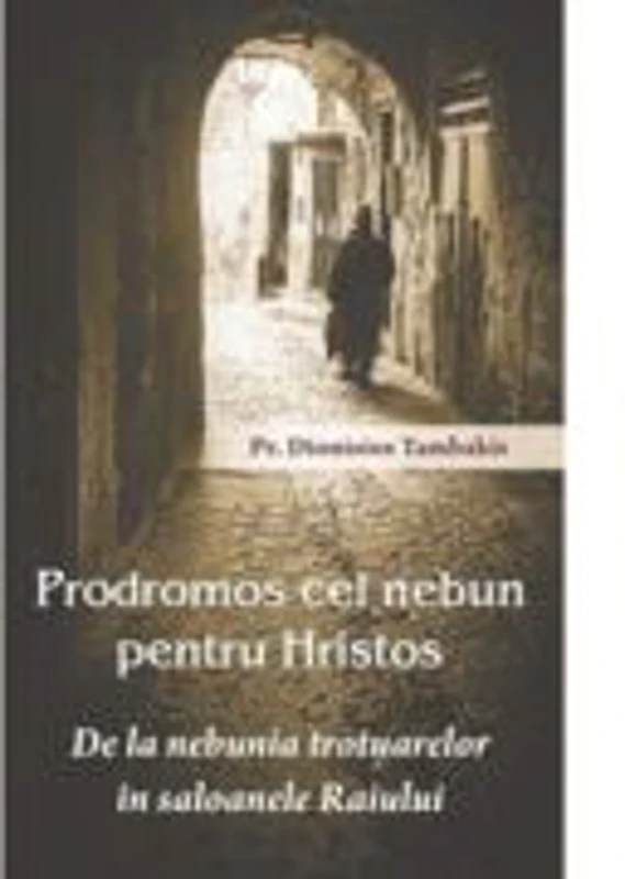 Prodromos cel nebun pentru Hristos. De la nebunia trotuarelor in saloanele Raiului - Pr. Dionisios Tambakis