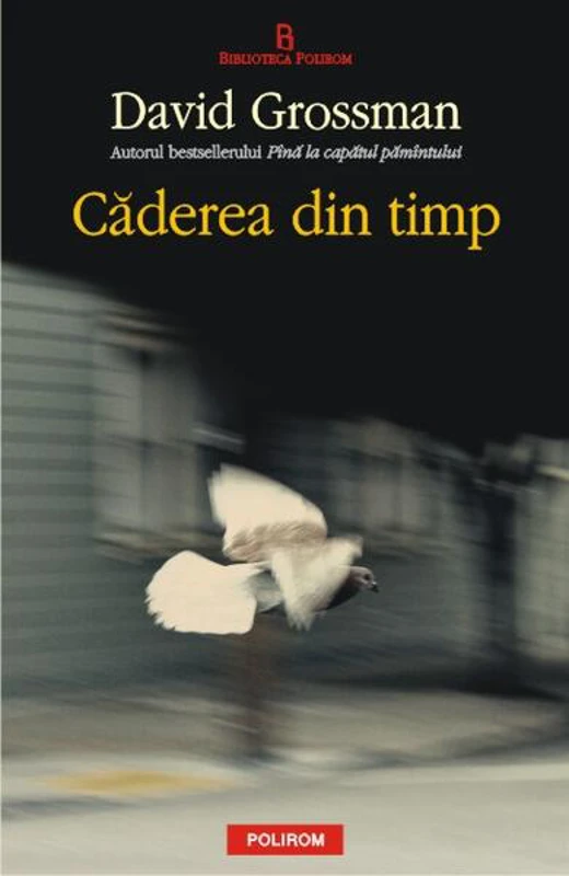 Căderea din timp - Paperback brosat - David Grossman - Polirom