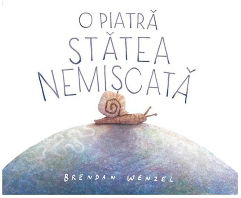 O piatră stătea nemișcată - Hardcover - Brendan Wenzel - Vlad și Cartea cu Genius