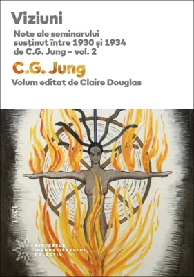 Viziuni. Note ale seminarului sustinut intre 1930 si 1934 de C. G. Jung, volumul 2 - Sofia Manuela Nicolae, Oana Badea