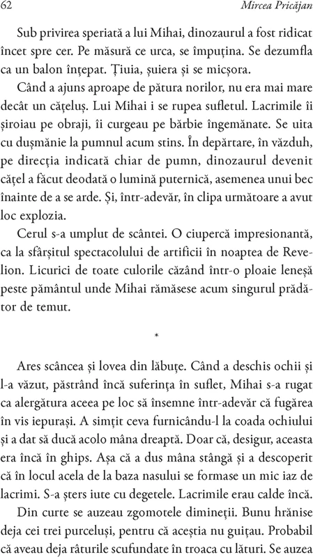 Pumn-de-Fier - Mircea Pricajan