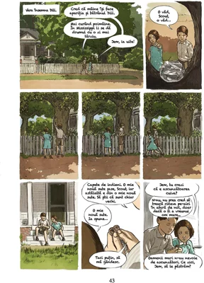 ... Sa ucizi o pasare cantatoare. Roman grafic - Harper Lee, Fred Fordham