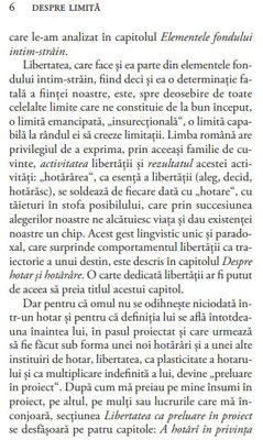 Despre limita - Gabriel Liiceanu