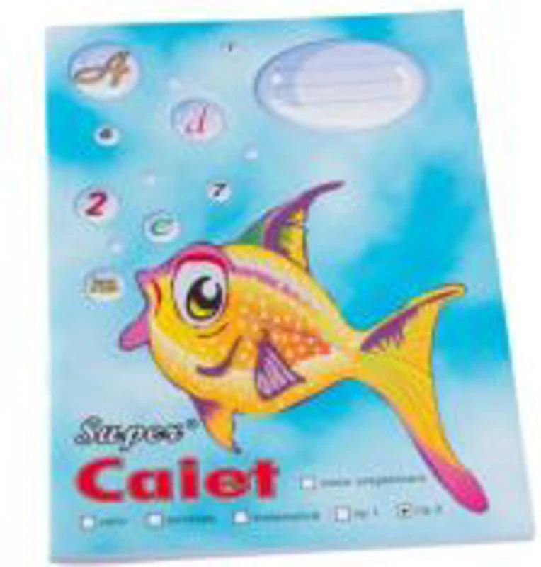Caiet tip 2 Pestisor A5, 48 file, Casa Tipografica