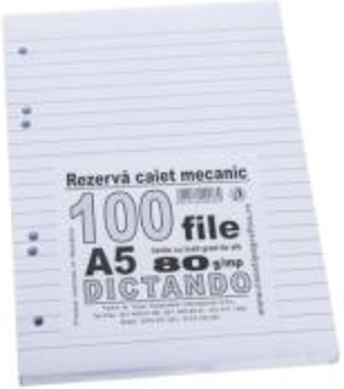 Rezerva caiet mecanic dictando A5, 100 file, Casa Tipografica
