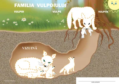 Mapa Animale salbatice - Inesa Tautu