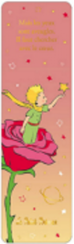 Semn de carte The Little Prince in the Rose Looking For Stars, Kiub