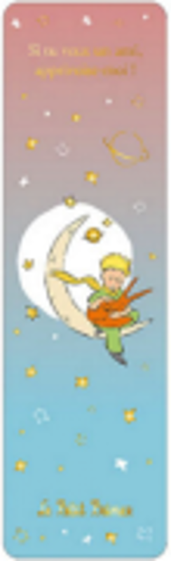 Semn de carte The Little Prince and the Earth, Kiub